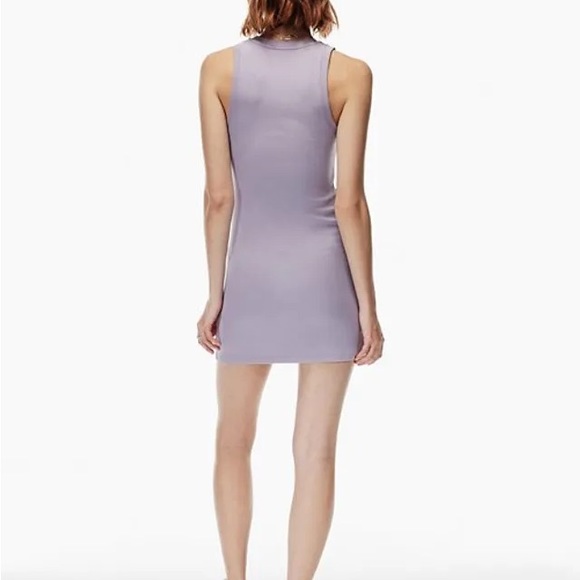 Aritzia Wilfred Free Dunes Dress - Picture 4 of 4